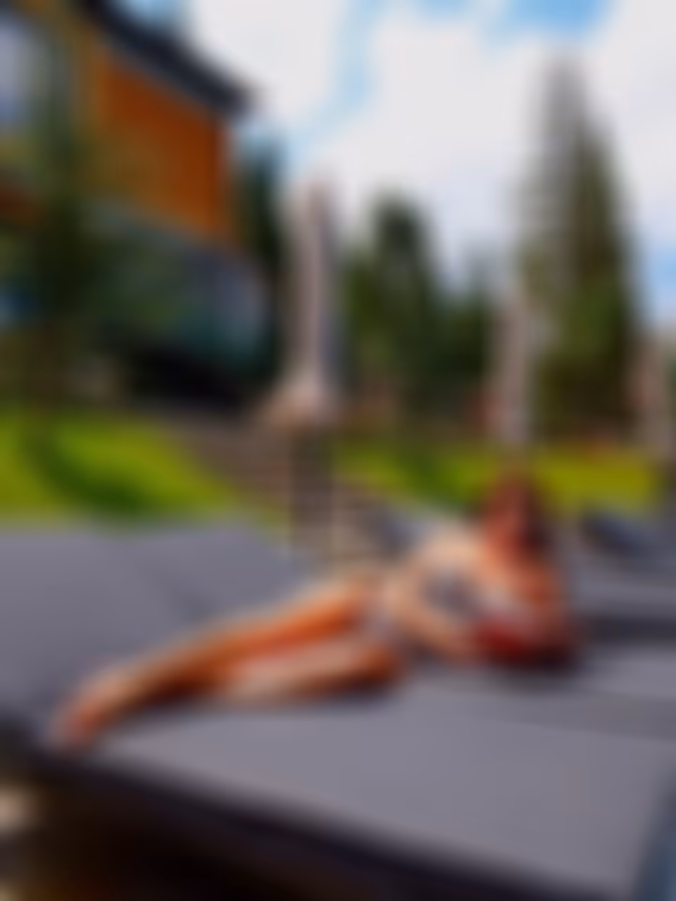 Lena russian brides 1