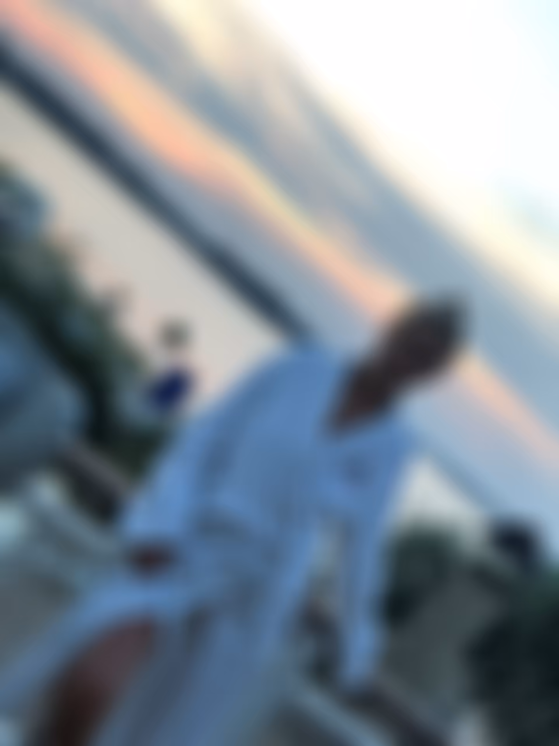 Alena russian brides wedding gown