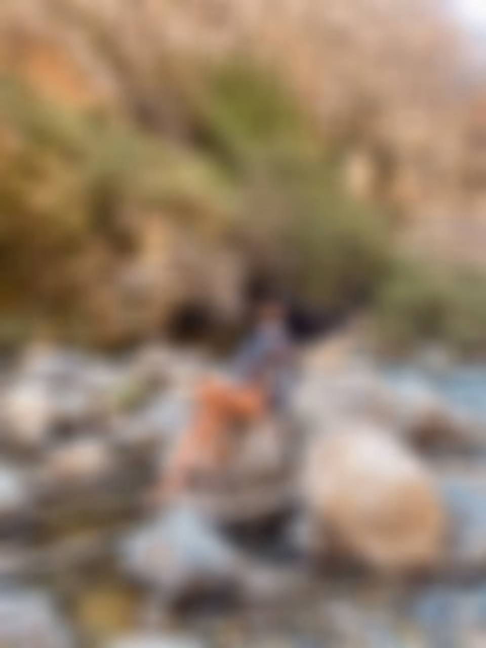 Explore Profile